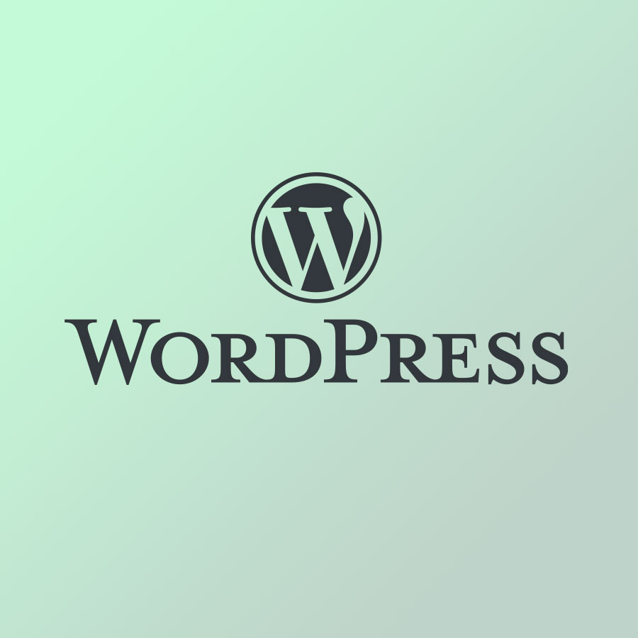 CMS Content Management System WordPress